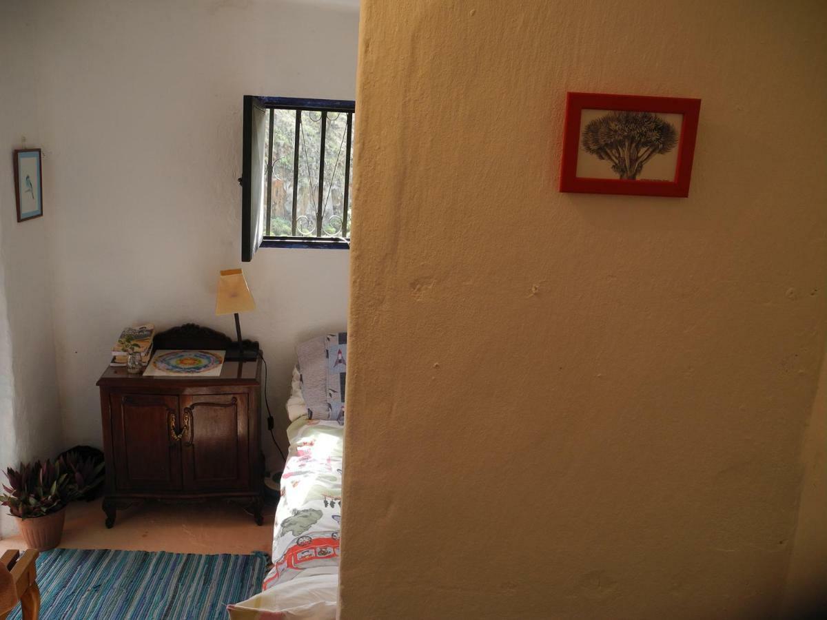 Apartmán Camino Art House Vega de San Mateo Exteriér fotografie